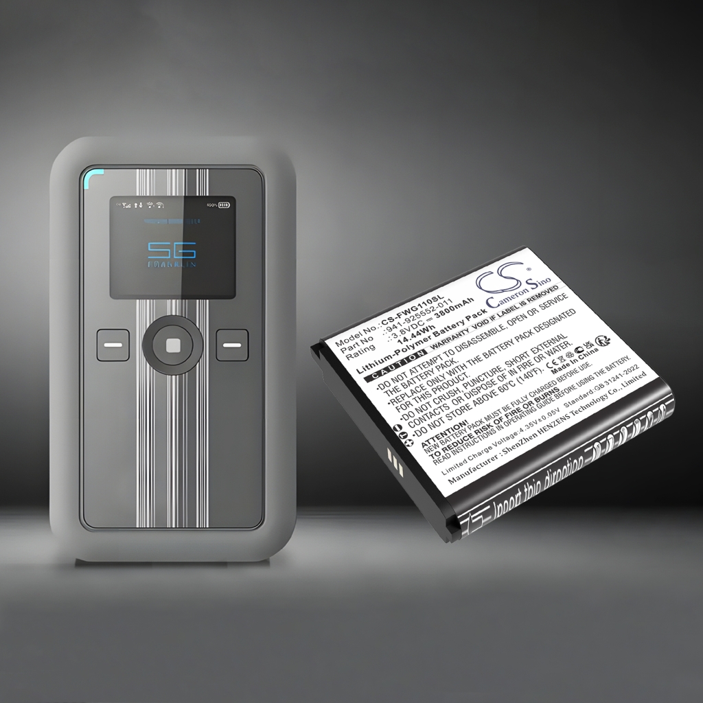 Franklin wireless RG1100