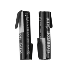 Remplacement de batterie compatible pour AA 