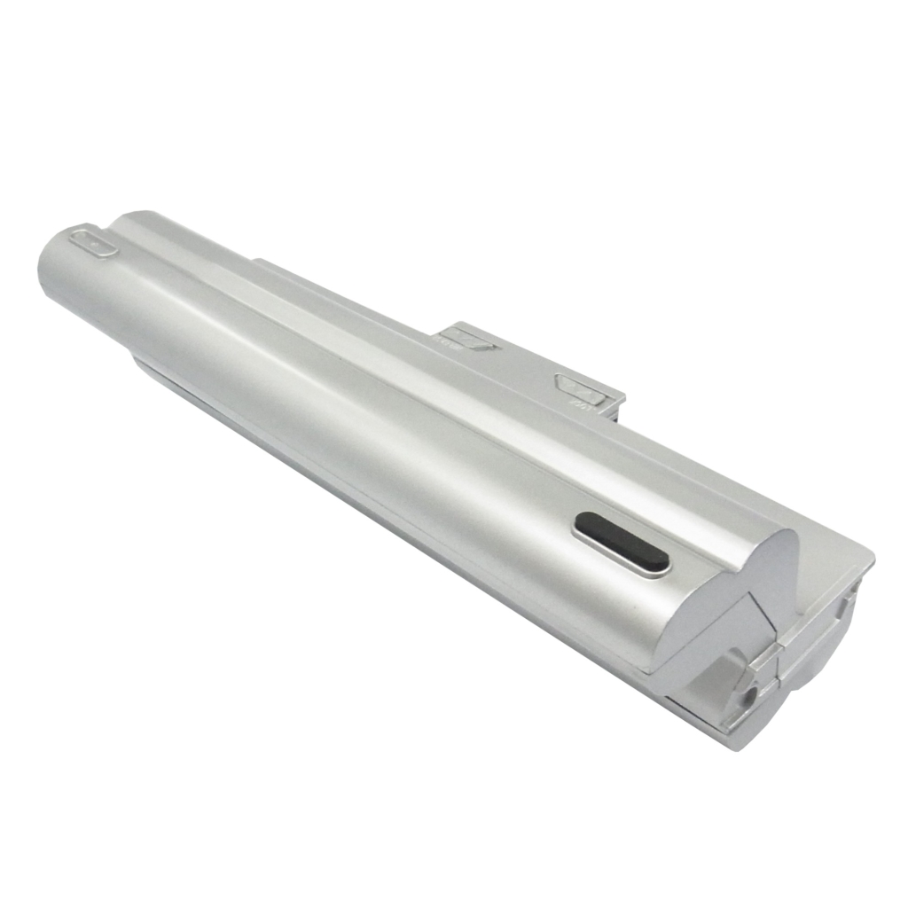 Batterie compatible avec Sony CS-BPS21DT