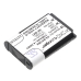 Camera Battery Sony HDR-GW66VE
