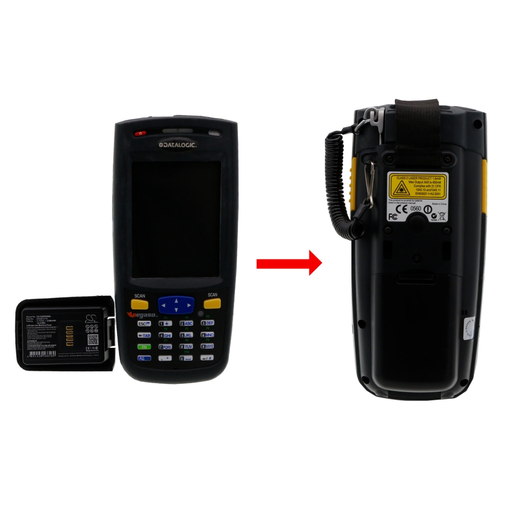 Datalogic Pegaso