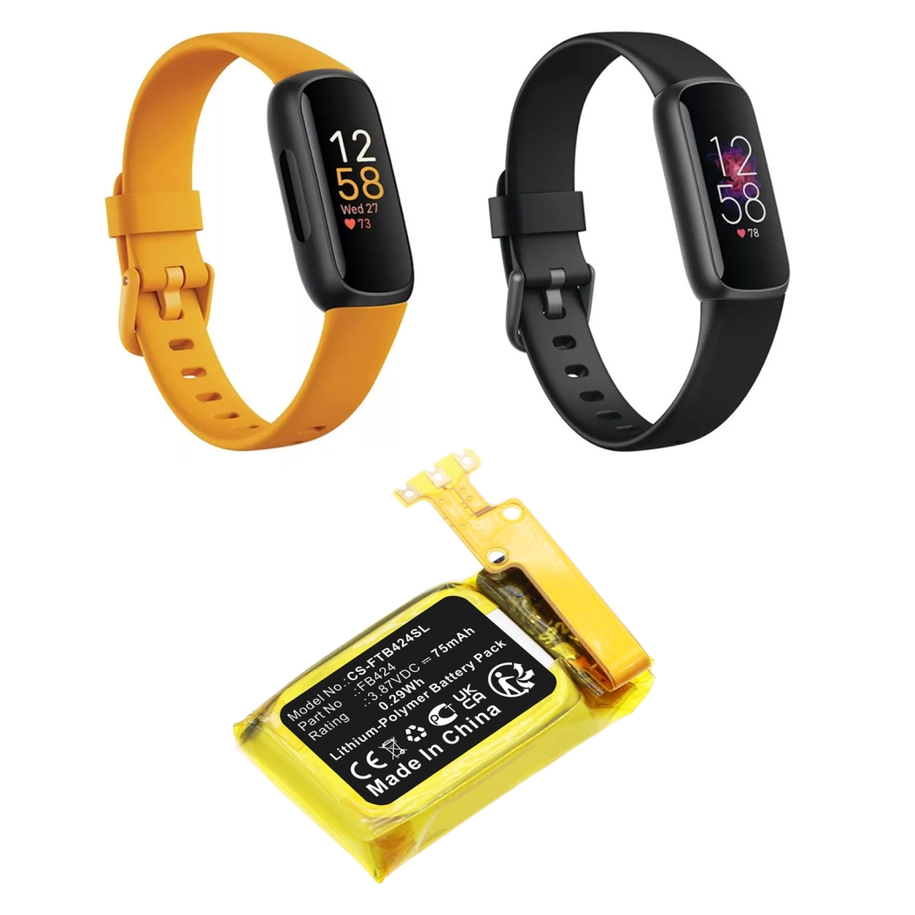 Batterie Smartwatch Fitbit CS-FTB424SL