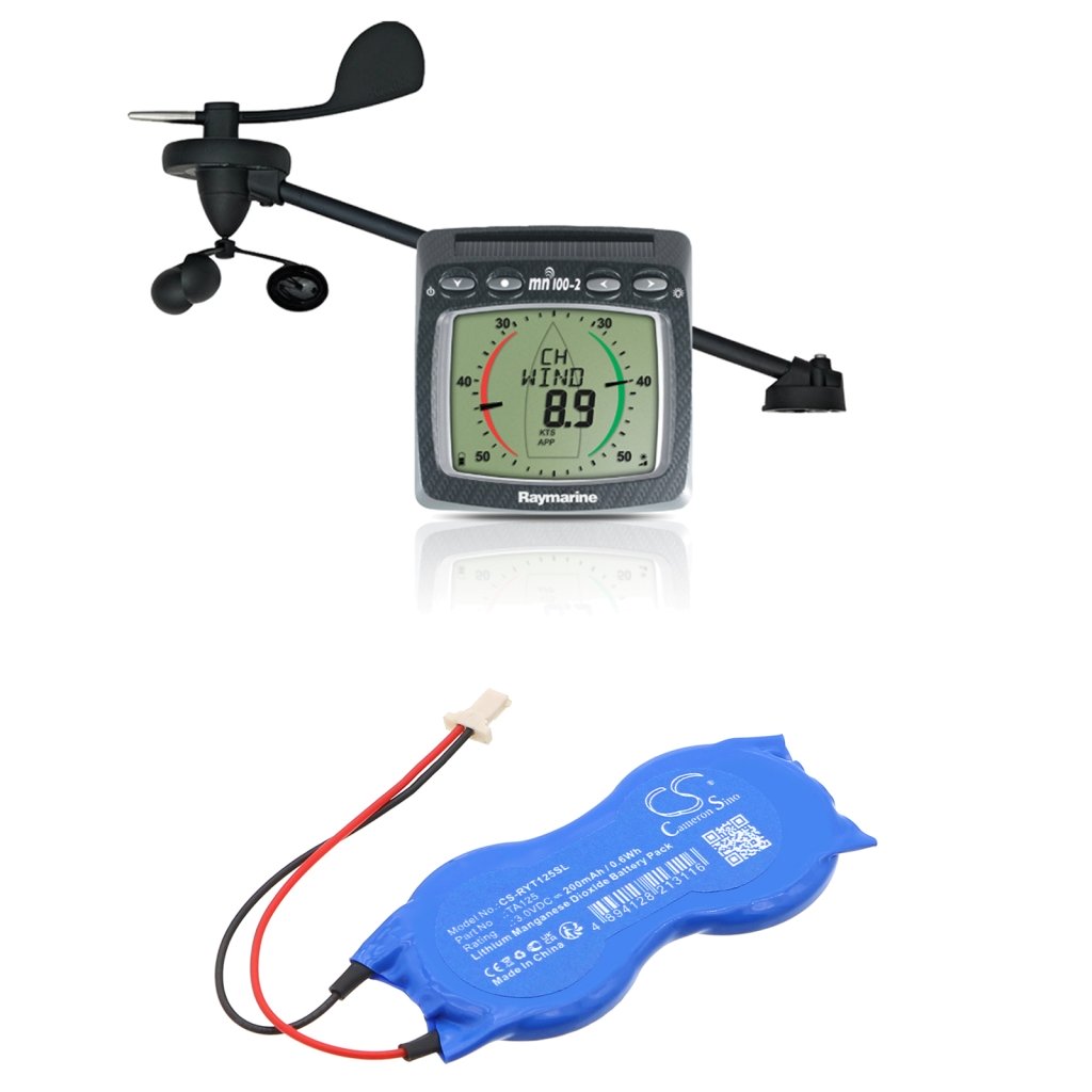 Batterie industrielle Raymarine CS-RYT125SL