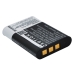 Camera Battery Sony HDR-GW66