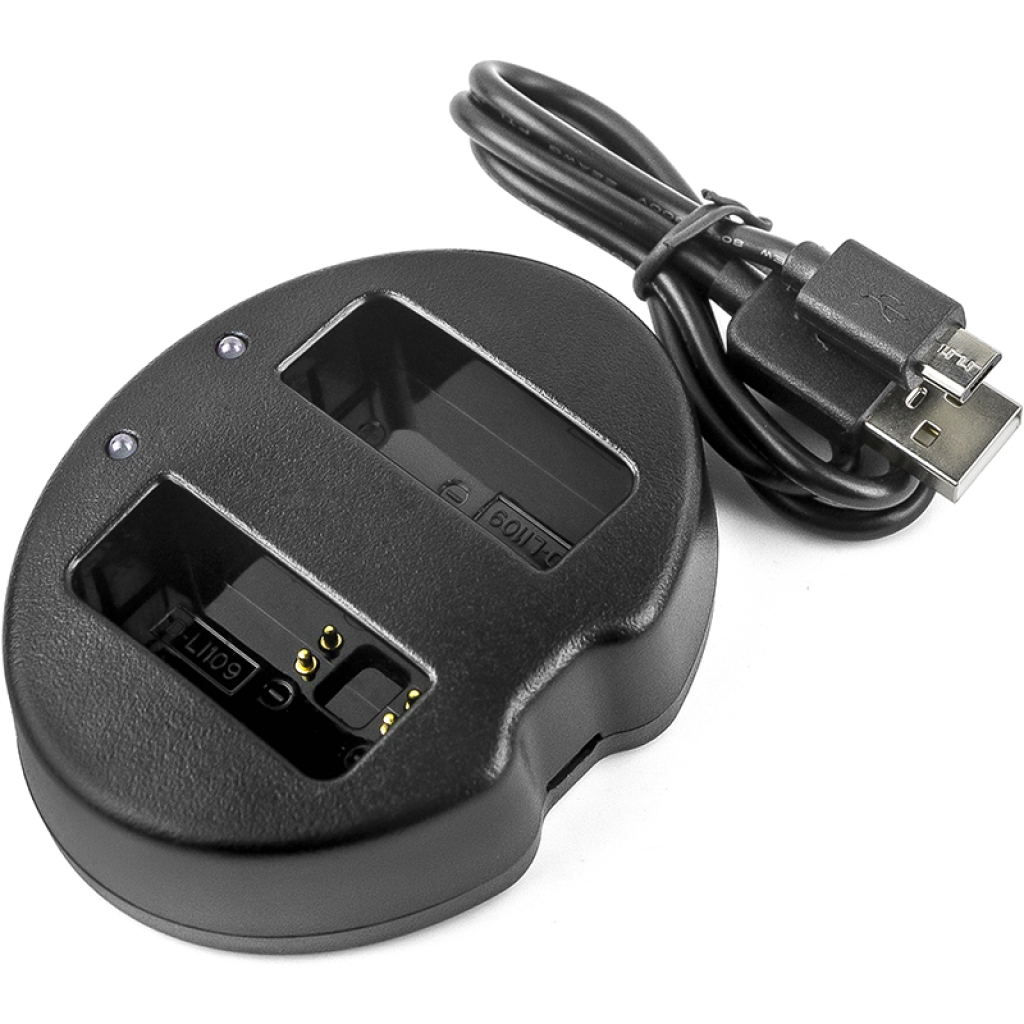 Chargeurs DF-DLI109UH
