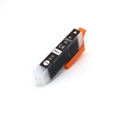 Compatible avec Epson C13T24314012 / 13ml Encre Noir (Cartouches d'encre)