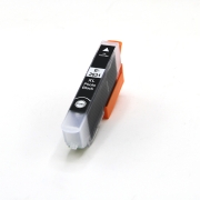 Compatible avec Epson C13T26314012 / 13ml Encre Noir photo (Cartouches d'encre)