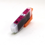 Compatible avec Epson C13T33634012 / 13ml Encre Magenta (Cartouches d'encre)
