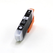 Compatible avec Epson C13T33614012 / 13ml Encre Noir photo (Cartouches d'encre)