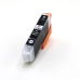 Compatible avec Epson C13T33614012 / 13ml Encre Noir photo (Cartouches d'encre)